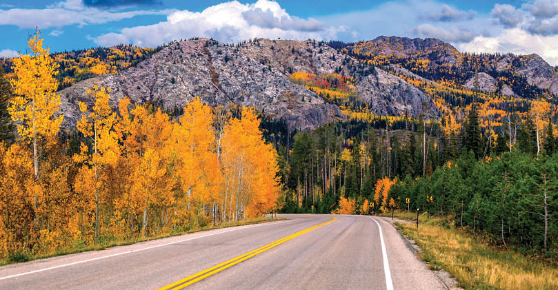 A roadway with a yellow line down the middle, surrounded by trees and mountains. AI generated content